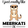 Meerkat Lover Funny Saying Gift