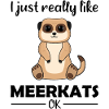 Meerkat Lover Funny Saying Gift