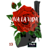 Rose 13