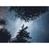 NIGHTSKY