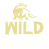 Funny honey badger