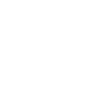 Monstre Spaghetti Volant FSM