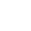 Flying Spaghetti Monster FSM