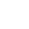 Flying Spaghetti Monster FSM