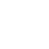 Small Münsterländer Dad