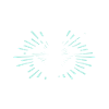 Scharbeutz Sprüche Scharbeutzer Ostsee