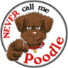 Poodle1 3