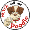 Poodle1 1