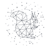 Constellation Squirrel Constellation Squirrel