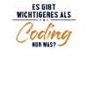 Wichtigeres als Coding Softwareingenieur Coder