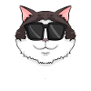 Chat Ragdoll