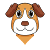 jack russell terrier dog