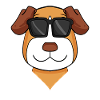 jack russell terrier dog