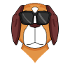 St. Bernard dog dog