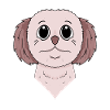 Shih Tzu Dog Dog