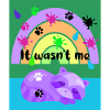 It wasn't me - racoon -