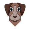 Pointer Dog Dog