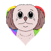 Shih Tzu Dog