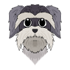 Museau - Schnauzer miniature
