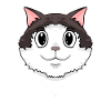 Ragdoll Cat