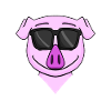 cool pig