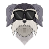 Snout - Miniature Schnauzer