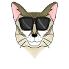 Chat Singapura