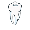 Tooth - dental hygienist