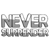 NEVER SURRENDER - Gaming