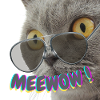 MEEWOW