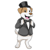 Dog Groom Jacket Wedding