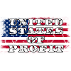 us profit