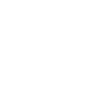 Zodiac Sign Leo