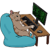 Cat Hacker
