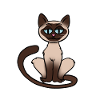 Siamese Cat