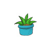 non mais aloe quoi