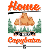 Capybara Accueil Capybara Capibara