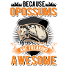 Because Opossums are freaking awesome