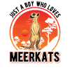 Suricate Jeune Suricate