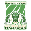 Crocodile Alligator