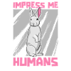 Rabbit Rabbit Karnickel Rammler