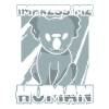 Koala Koala Ours