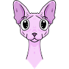 Sphynx Head Cat Cat Owner