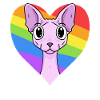 Chat LGBT Sphynx Rainbow