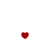 Princesse Photographe