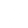 White phoenix bird