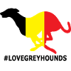 Greyhound Belgium #Lovegreyhounds