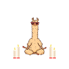 meditating llama relaxes without stress