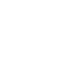 STABYHOUN Profil Chiens Wilsigns