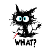 What Black Cat with Knife